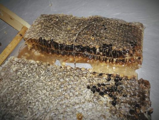 Bienfaits de la cire d'abeille pour la santé, le traitement des maladies, la peau et les cheveux