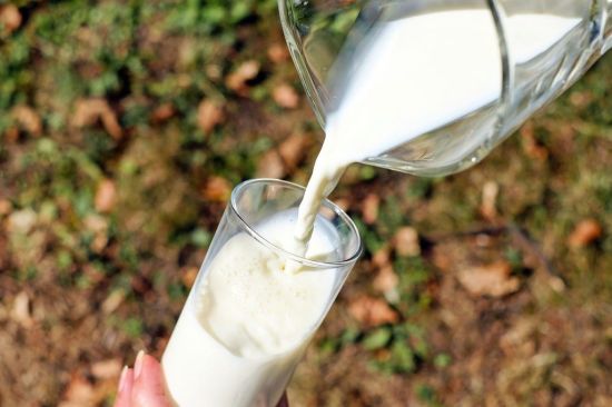 Le lait de chamelle – ses bienfaits , propriétés et sa valeur nutritionnelle