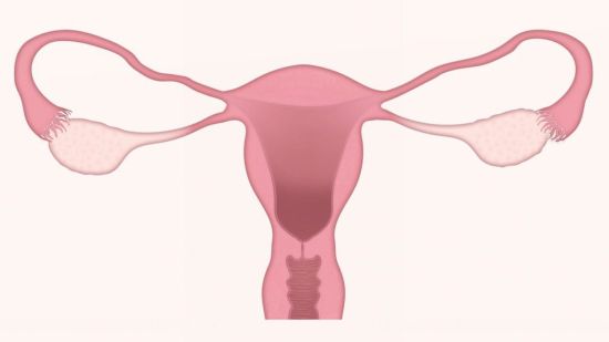 Cancer de l'utérus : signes, symptômes et complications
