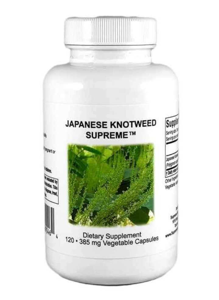 Renouée du Japon : des propriétés antioxydantes, anti-inflammatoires, antivirales, anticancéreuses et antibactériennes
