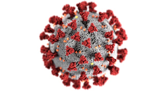 virus Nipah est une épidémie qui peut menacer l'humanité